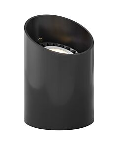 Par36 Reversible Well Light