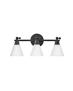 Medium Adjustable Three Light Vanity