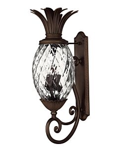 Large Wall Mount Lantern
