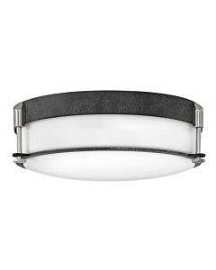 Large Flush Mount