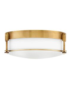 Large Flush Mount