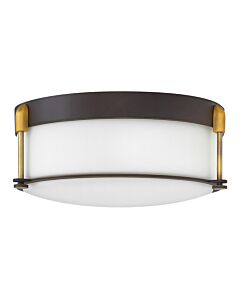 Large Flush Mount