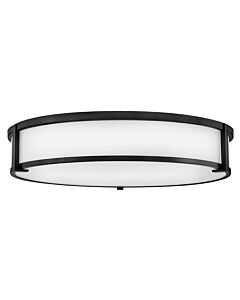 Large Flush Mount